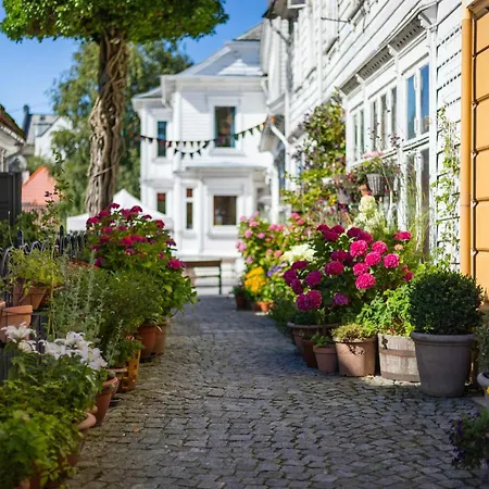 On One Of Bergen's Finest Streets Bergen